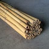 CANNE in Bamboo bambù.TUTORI per ORTO E ARREDO Giardino (10, 20/22x2400)