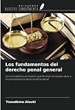Los fundamentos del derecho penal general: Los conceptos y principios que forman el núcleo duro y la quintaesencia de la materia penal.
