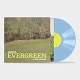 Evergreen... e altre canzoni (180gr col. Baby blu) [2 LP]
